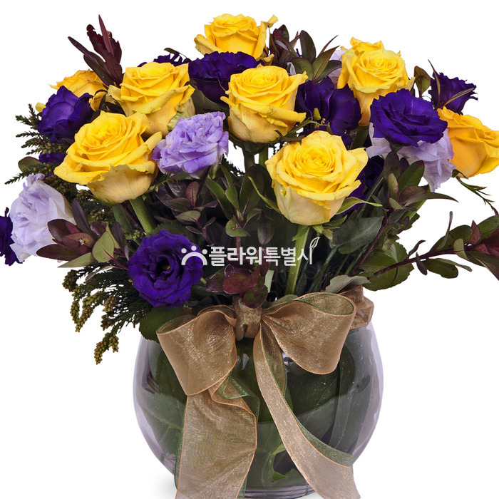 상세이미지