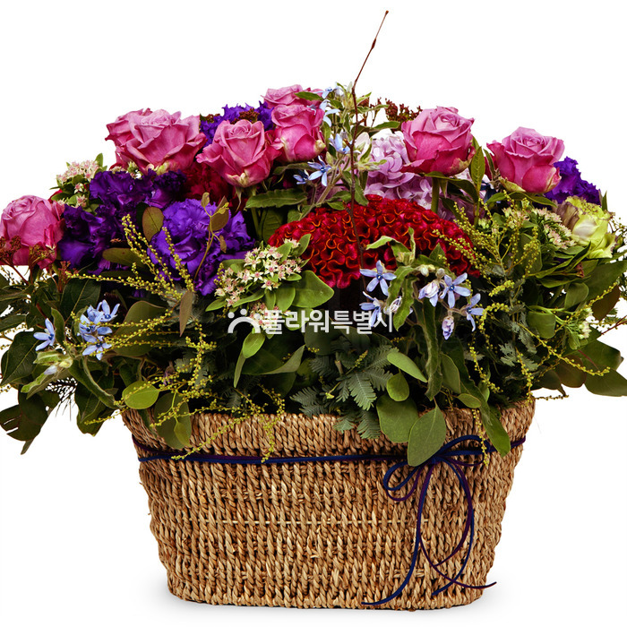 상세이미지