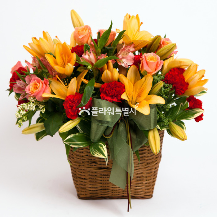 상세이미지