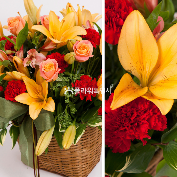 상세이미지