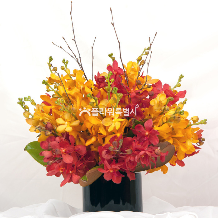 상세이미지