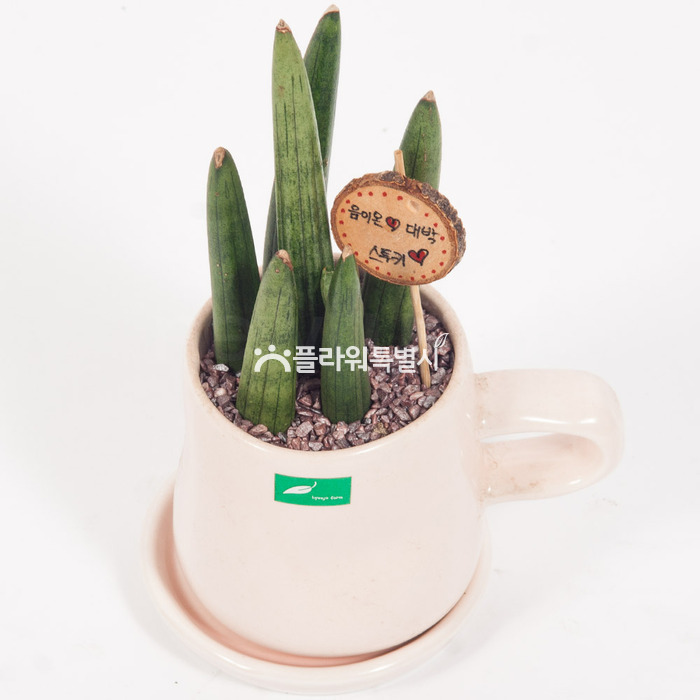 상세이미지