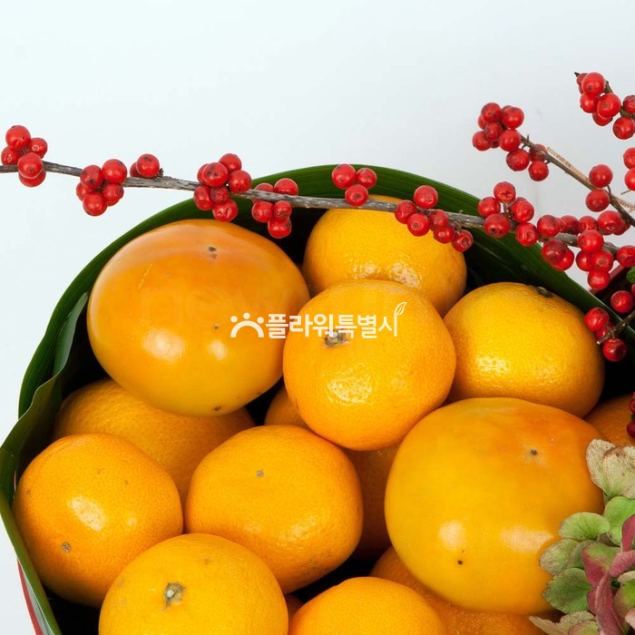 상세이미지