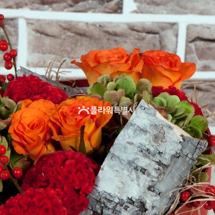 상세이미지