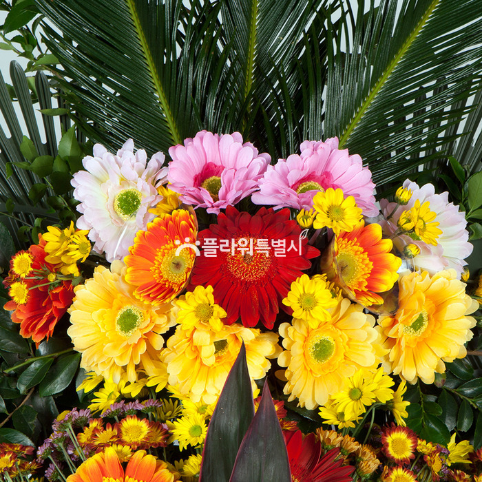 상세이미지