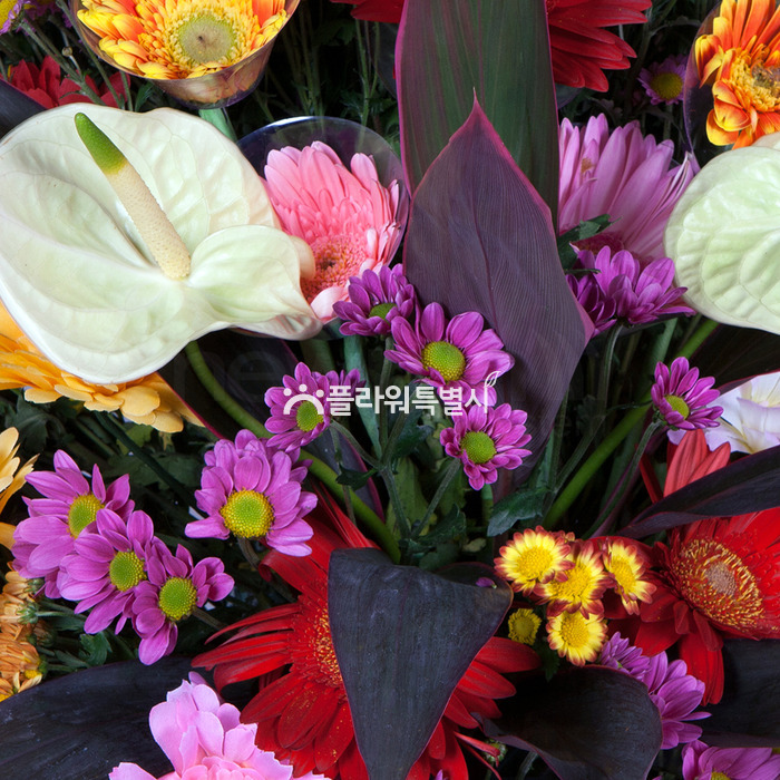 상세이미지