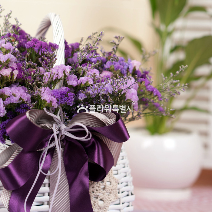상세이미지