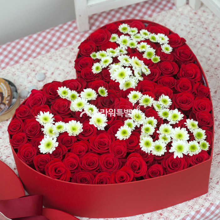 상세이미지