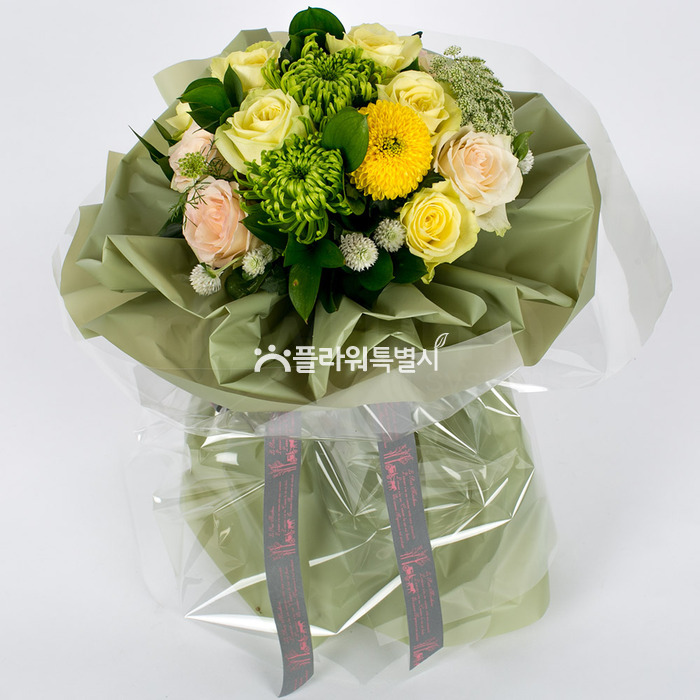 상세이미지