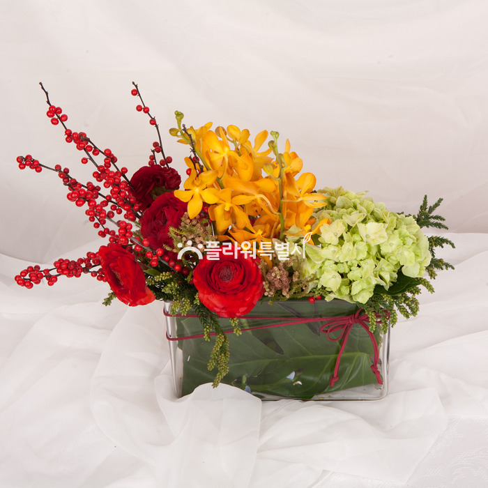 상세이미지