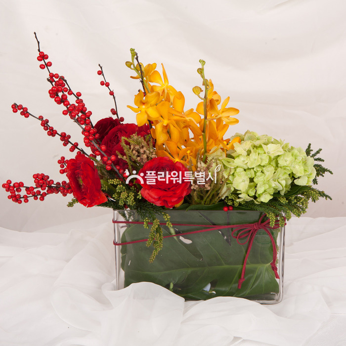 상세이미지