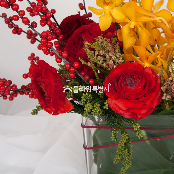 상세이미지