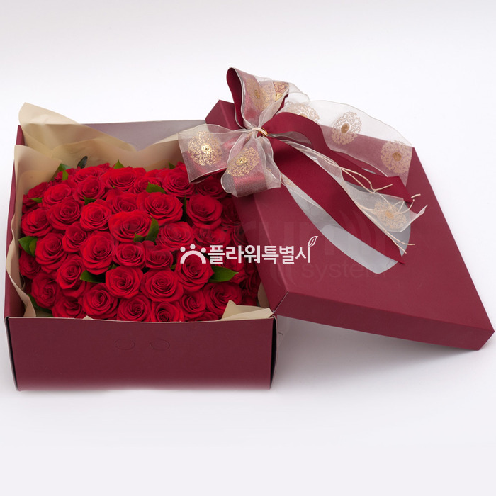 상세이미지