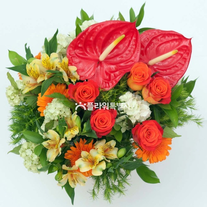 상세이미지