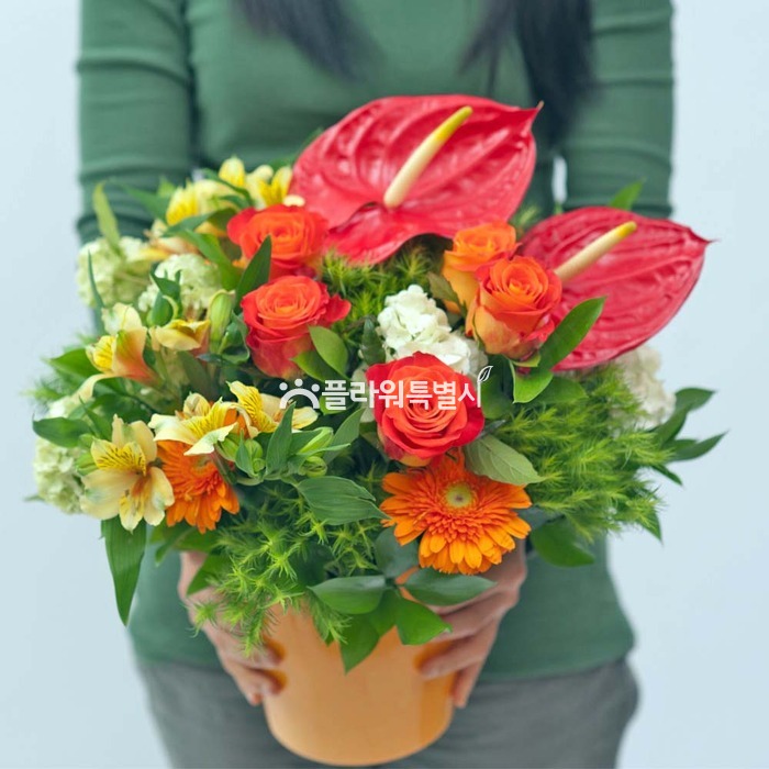 상세이미지