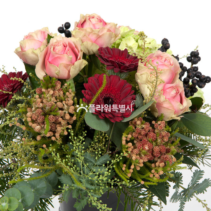상세이미지