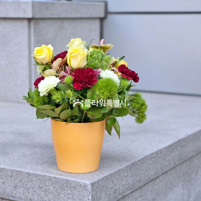 상세이미지