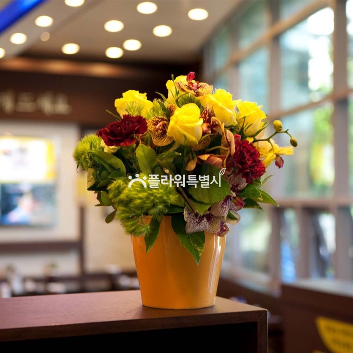 상세이미지