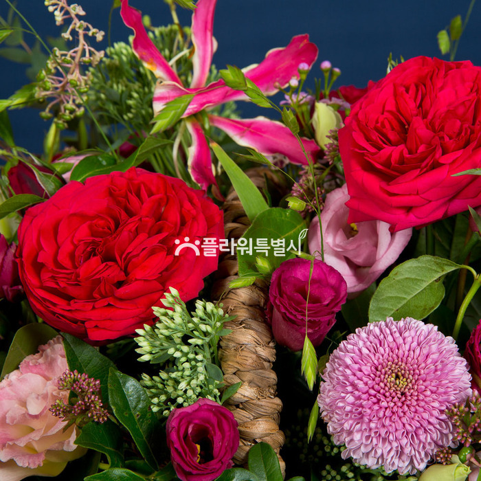 상세이미지