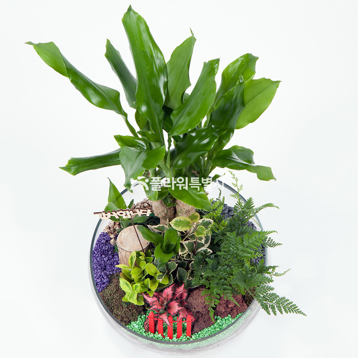 상세이미지