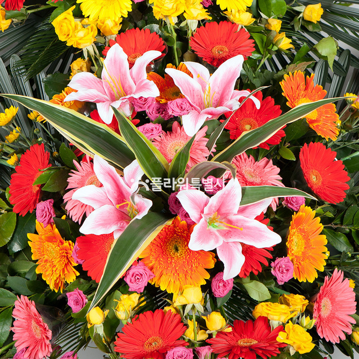 상세이미지
