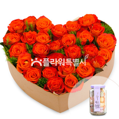 꽃기쁨33호