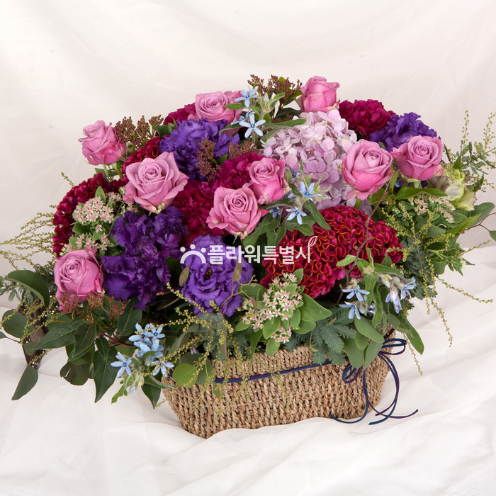 상세이미지