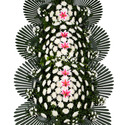 3단근조화환(특)E