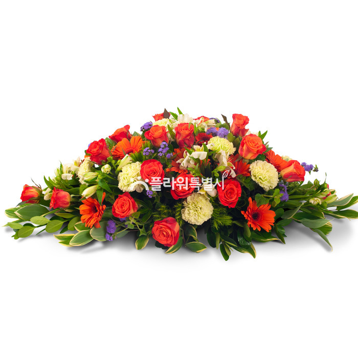 상세이미지