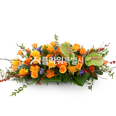 유색계열사방화