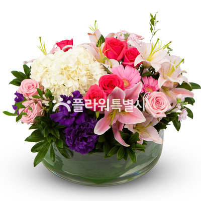 뷰티풀 라이프~
