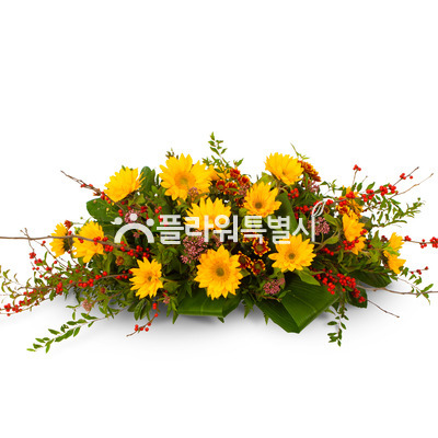 사방화1010