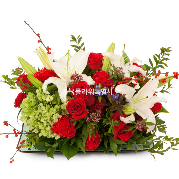 상세이미지