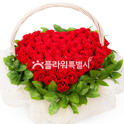 비누꽃12호