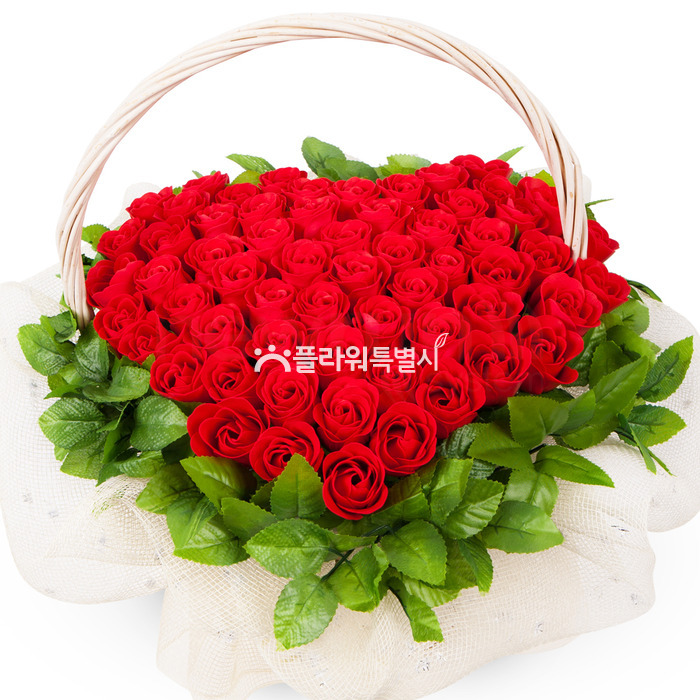 상세이미지