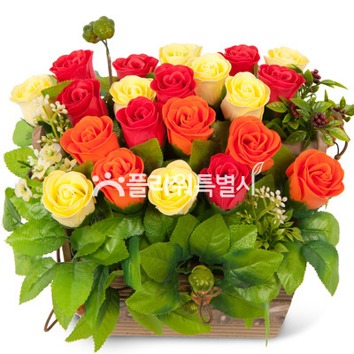 비누꽃15호