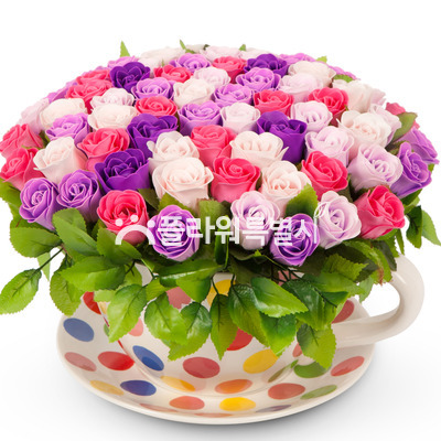비누꽃혼합2