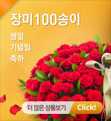 장미100송이