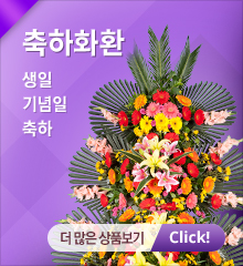축하화환