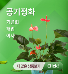 공기정화