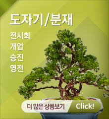 도자기분재