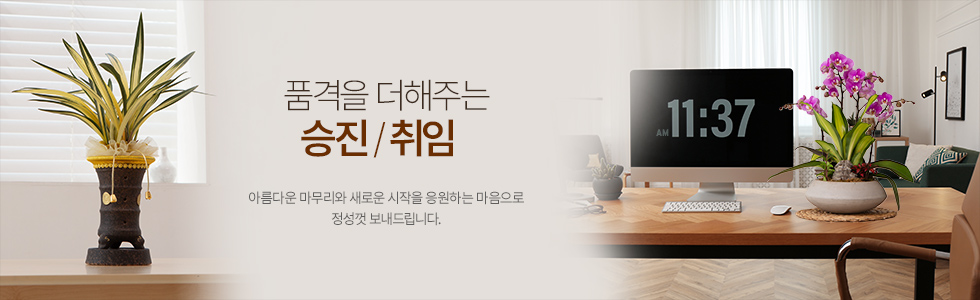 이전/개업